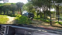 Private Algarve Tour with Typical Lunch, pax min. 2.