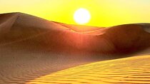 Watching Sunrise in Wahiba Sand Desert - Early Morning Tour