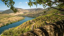 Douro To Lisbon with stop at Óbidos (ginja) and Underground Museum (brandy)
