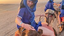 Agafay Desert Quad & Camel Tour with Dinner Show