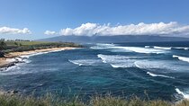 Full Day Private Road Tour to Hana