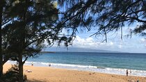 Full Day Private Maui Tour