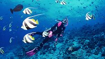 Scuba Diving in Antalya