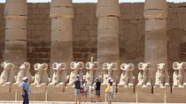  Full Day Guided Tour to Luxor from Cairo by Plane with Tours ,Felucca and Camel