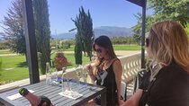 Private Wineries From Santiago to Valley Casablanca 