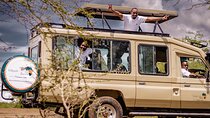4 Day Ngorongoro Crater Tarangire and Serengeti National Park