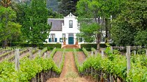 Cape Winelands Tour–3 Wine Tastings in Stellenbosch & Franschhoek
