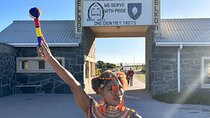 Robben Island Tickets, Penguins & Cape of Good Hope Private Tour