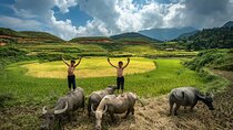 Ninh Binh Group Tour of 11 from Hanoi via Mua Cave Tam Coc Hoa Lu