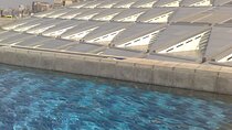 Full Day Private Tour to Alexandria from Cairo