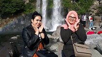 Private Tour in South and East in jeju island 