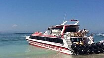 West Nusa Penida Full-Day Private Tour