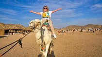 Enjoy with 1 - Hour Camel Ride with Transportation in Hurghada