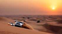 Red Dune Desert Safari Dubai with Camel & BBQ Dinner