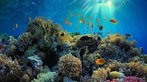 Bali Snorkeling with visit Tukad Cepung Waterfall 