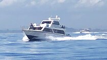 Bali Gili islands Fast Boat Ticket And Private Transfer