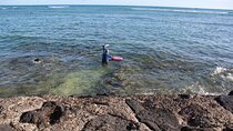 Full Day Private Professional Photo/Video Tour in Honolulu Island