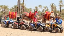 Quad and camel ride in the desert of the Palmeraie Marrakech