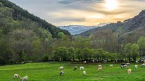 Full Day Private Guided Tour in Cerdanya