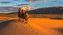Semi-Gobi and Kharkhorum overnight private trip