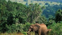 Full Day Isimangaliso Wetlands Park -Croc & Hippo &Game Fr Durban