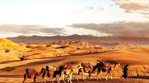 Sunset Dinner in Marrakech Desert with Quad bike 