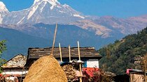 Luwang Village Home Stay Easy Trek with Tea Garden Visit
