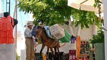 Explore Paros Island: Private Experience