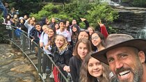 From Sydney: Blue Mountains & Featherdale - Day Tour