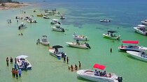 Half Day Charter Sandbar Snorkeling and Eco Adventure