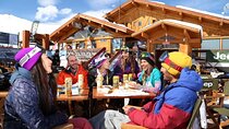 Private Visit Valle Nevado, Farellones, La Parva & Colorado