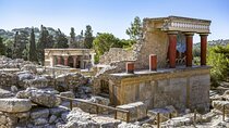 Knossos, Olive Grove, Winery - Distillery with Tastings & Lunch 