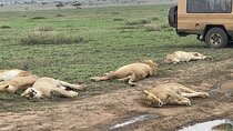 Turn on Village Water Taps with Luxury Safari-Exclusive Experienc
