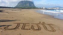 Private Day South and West Tour For Cruise Customers in Jeju 