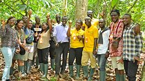Chocolate Delights, Farm to Factory Tour In Ghana