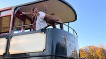 From Cape Town: Franschhoek Wine Tram Hop-on-Hop-off Tour