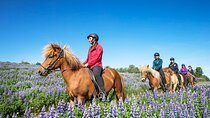 Horseback Riding Tour in Iceland