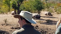 3 Hour Game Drive in Mosi-Oa-Tunya National Park 