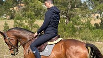 Horse Riding in the Countryside