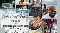 Full Day to YS Falls, Border & Floyd's Pelican Bar