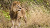 3 Day Private Garden Route Tour from Cape Town
