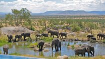 14 Day South Africa Adventure Cape Town to Johannesburg