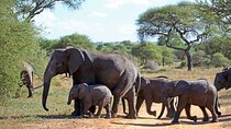 5 Day Garden Route Small Group Tour From CapeTown 