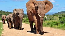 3 Day Garden Route Tour from Cape Town 