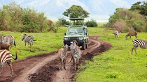 Tala Game Reserve, Natal Lion Park and Phezulu Safari from Durban