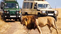 4 Day Small Group Garden Route Tour in Cape Town
