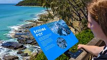 Noosa, Aussie Animals & Glass House Mountains from Brisbane 