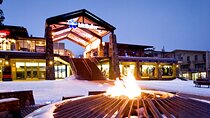 Mount Buller Sightseeing Tour 