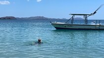 Private Snorkeling Tour by boat in Flamingo Beach