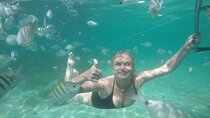 Full-Day Speedboat Tour in Angra and Islands with pick-up in Rio 